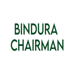 Bindura Chair